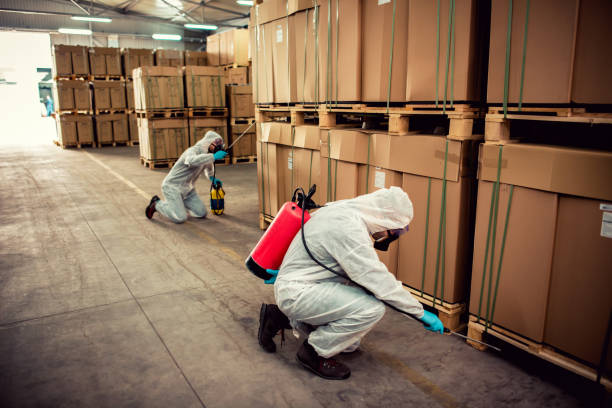 Best Wasp Removal Services  in Deerfield Beach, FL