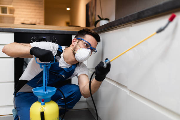 Best Termite Control Services  in Deerfield Beach, FL