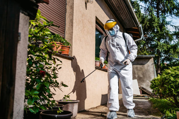 Bird Control in Deerfield Beach, FL