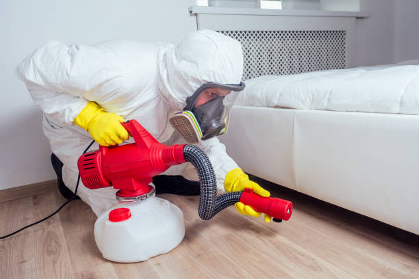 Pest Prevention Services in Deerfield Beach, FL