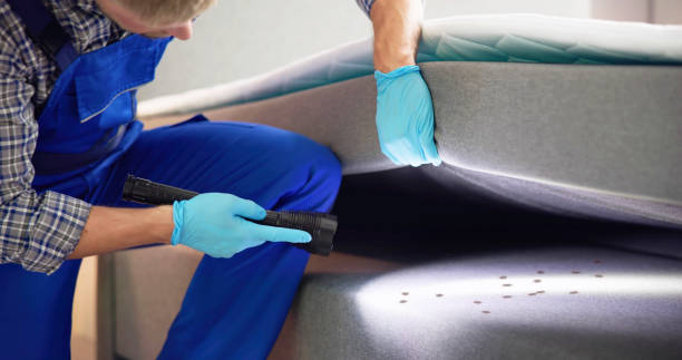Best Commercial Pest Control Services  in Deerfield Beach, FL