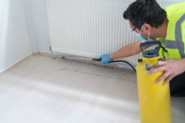 Best Best Pest Control Companies  in Deerfield Beach, FL