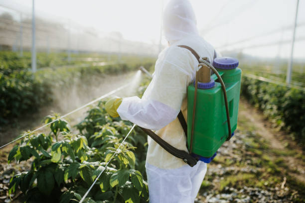 Best Residential Pest Control  in Deerfield Beach, FL